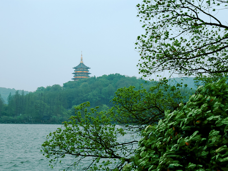 人文杭州，父母們來了！河南礦山第十三屆孝文化感恩旅游節(jié)第三站